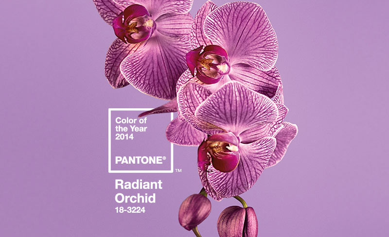 pantone, radiant orchid, lilac